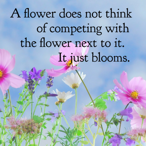 A Flower Does Not Think Of Competing With The Flower Next To It - Not ...