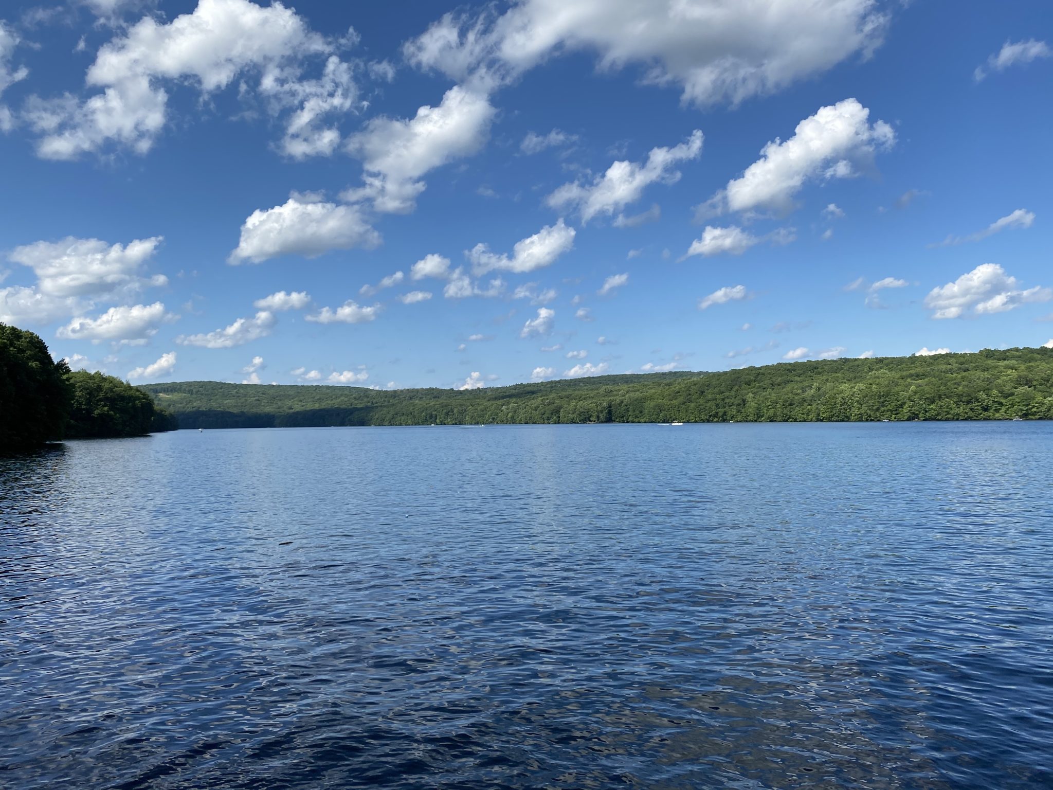 Hiking In Connecticut Paugussett State Forest Not Your Average Mom